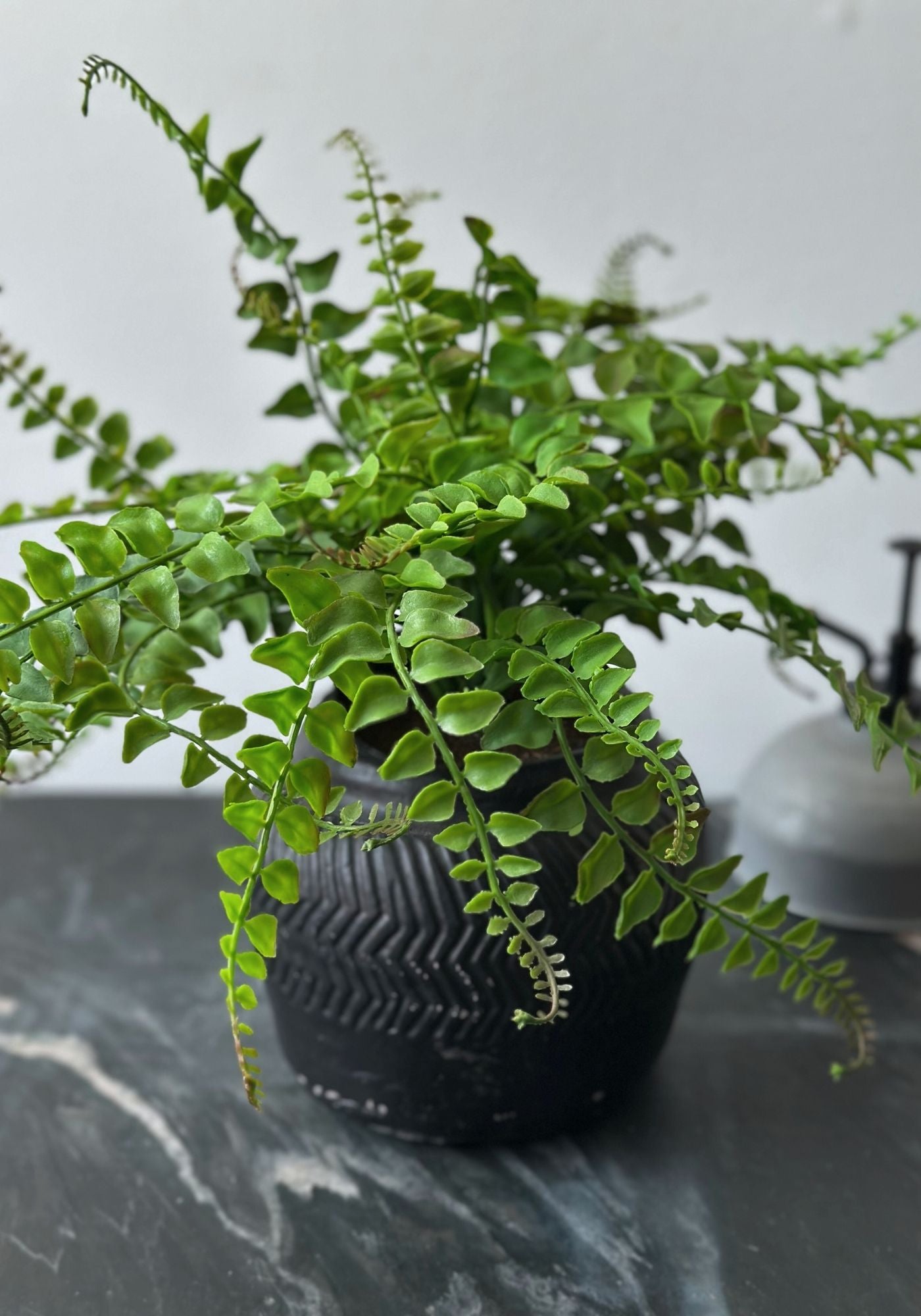 Large Black Chevron Plant Pot