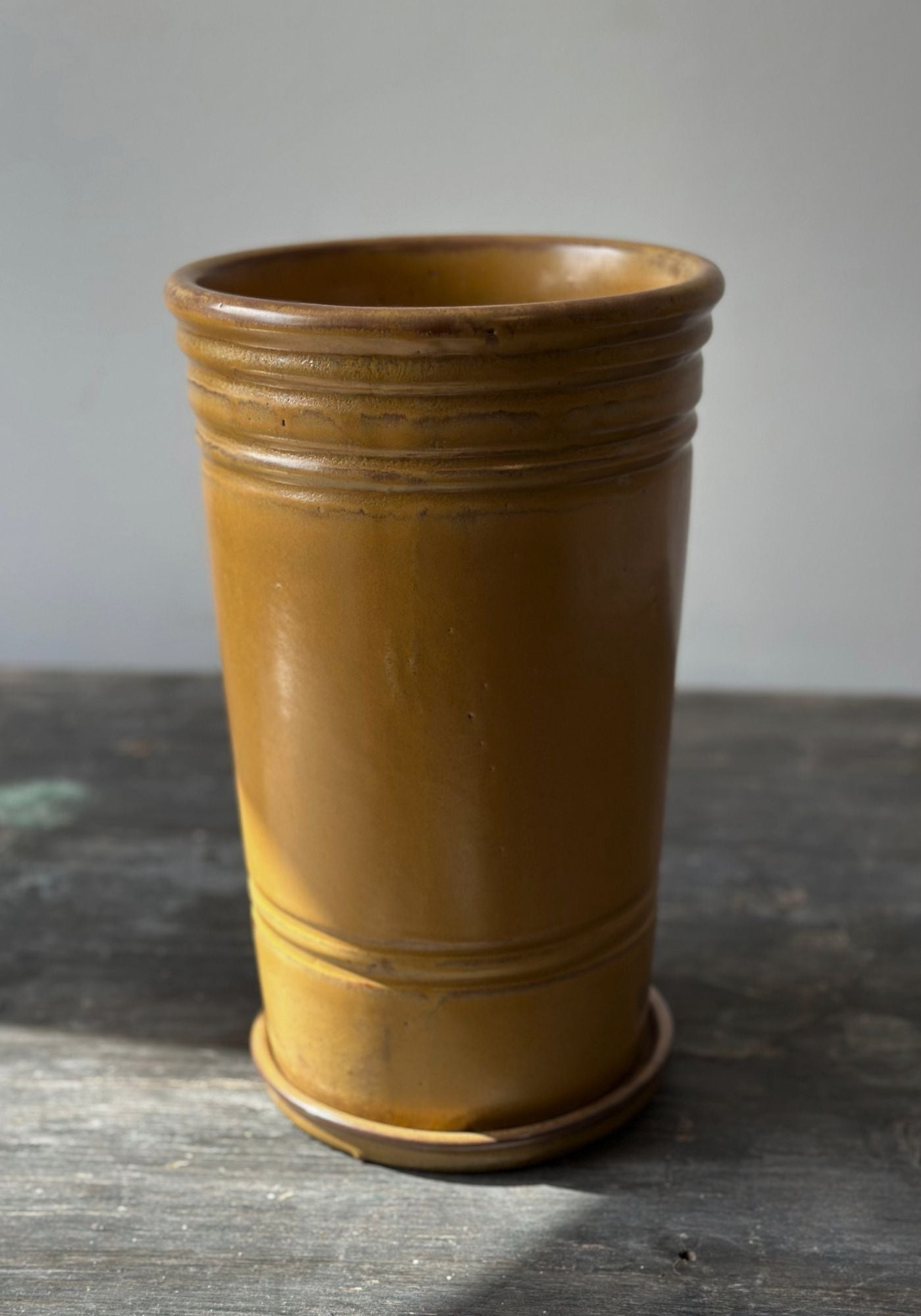 mustard pot plant Tall Mustard Ribbed Ceramic Plant Pot with Saucer