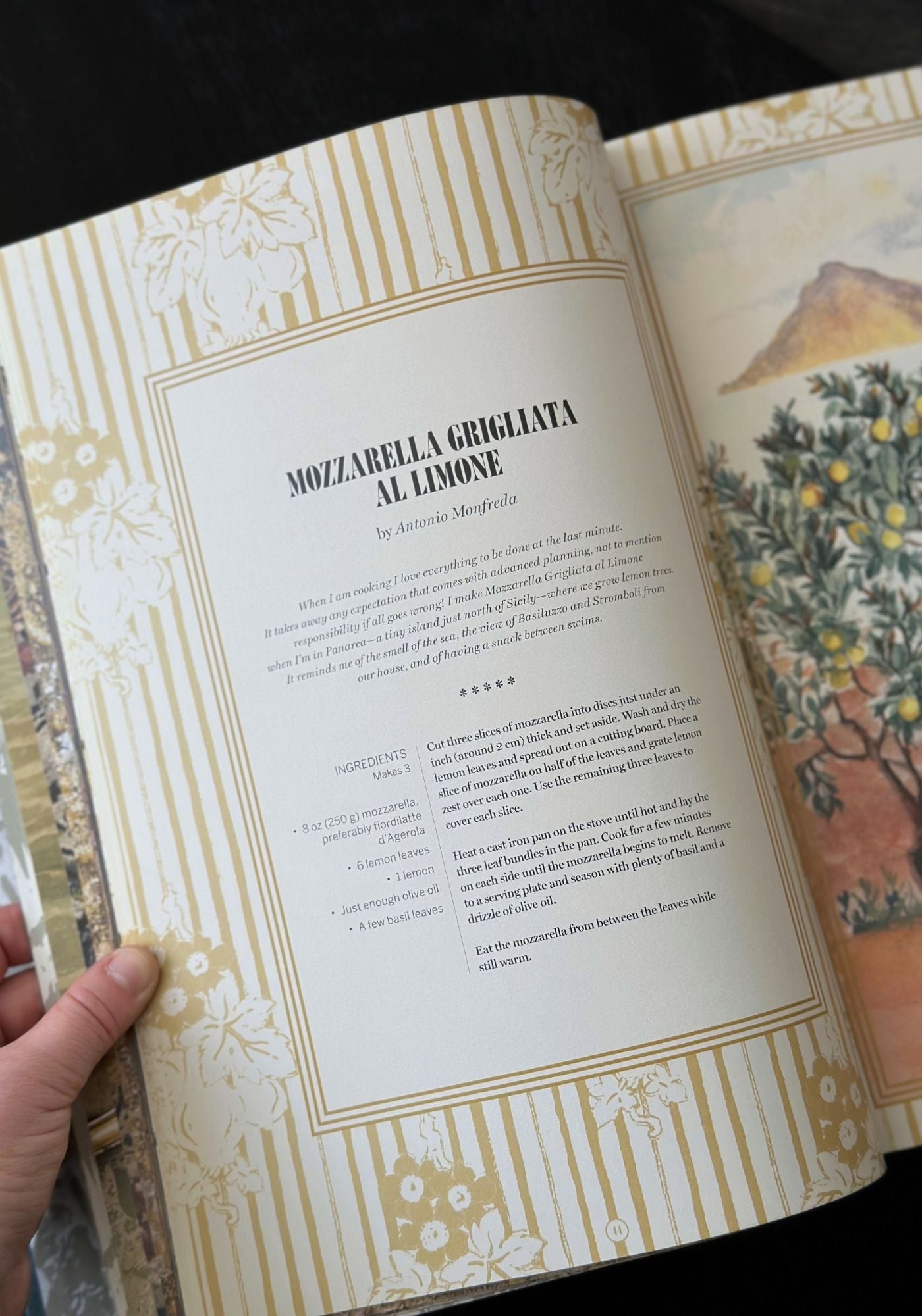 Open book with decorative pages and text, held by a hand.