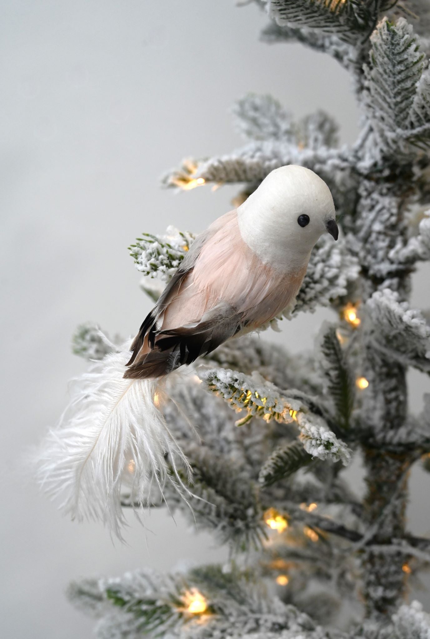 Small Pink and Brown Fluffy Feather Bird