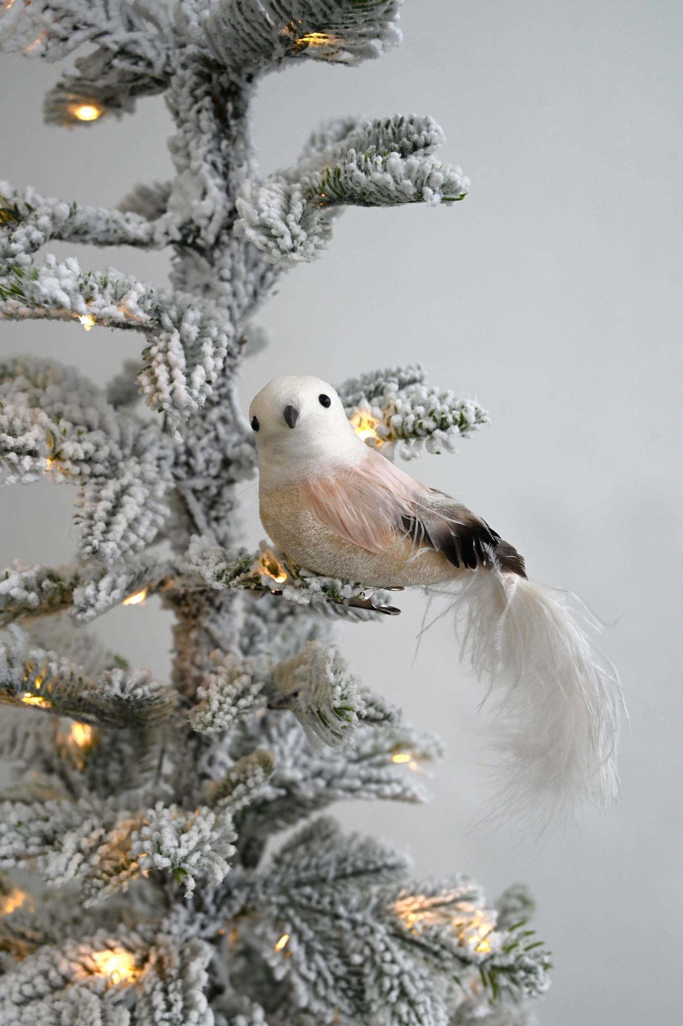 Small Pink and Brown Fluffy Feather Bird
