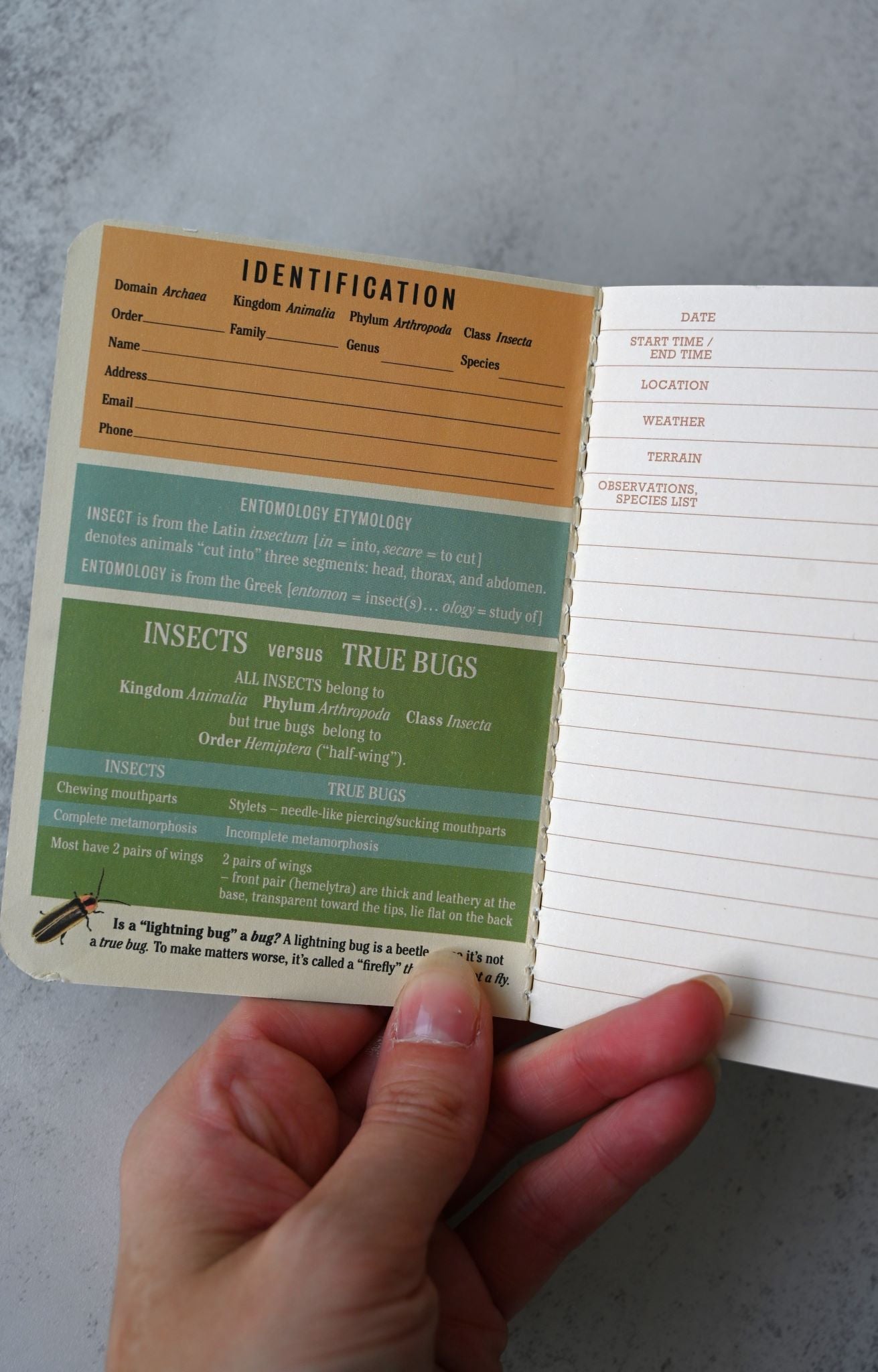 Carnet de poche d'entomologie