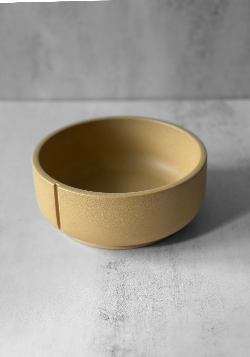 Mustard Yellow Jesmonite Pet Bowl