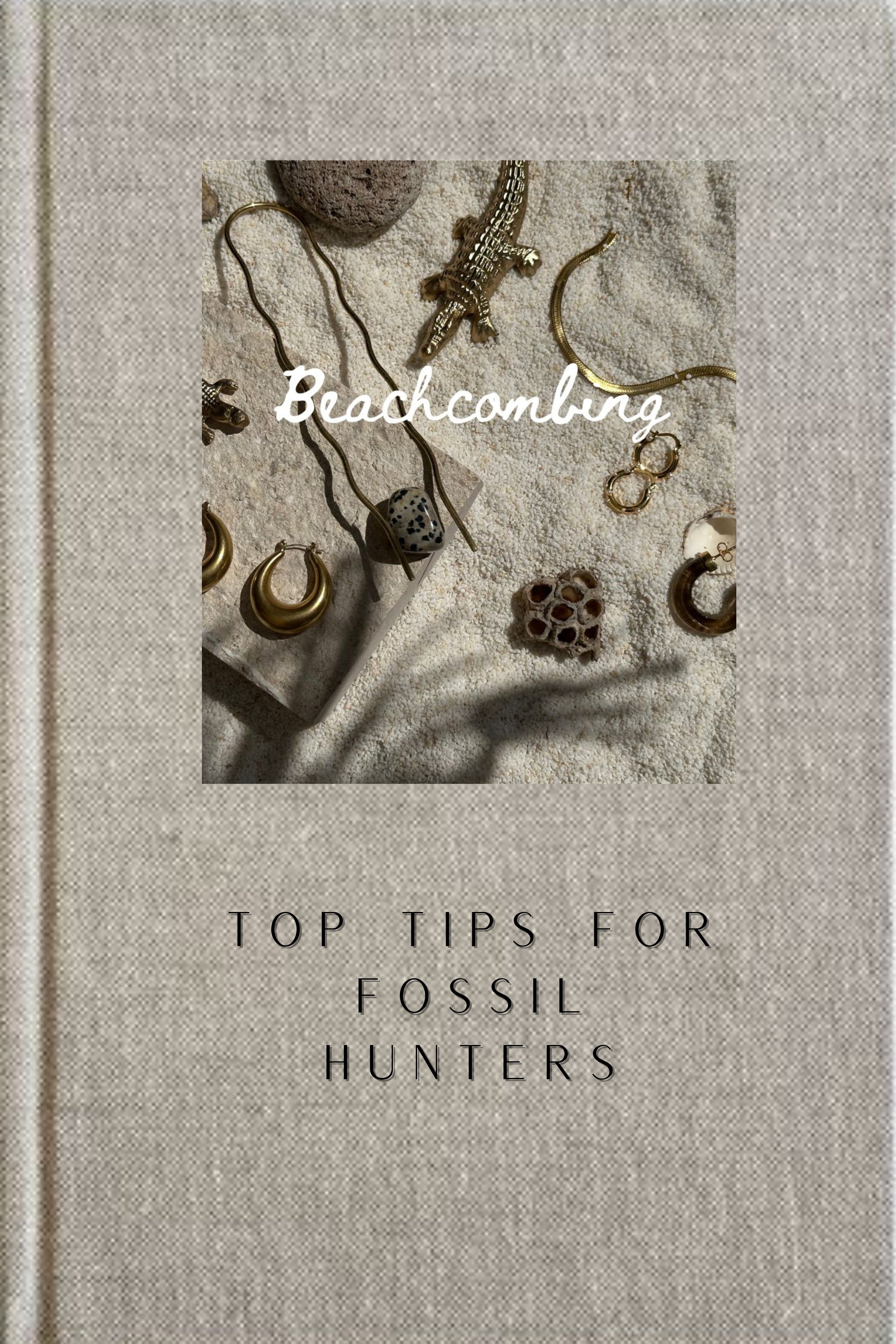 Our Top Tips for Beachcombing