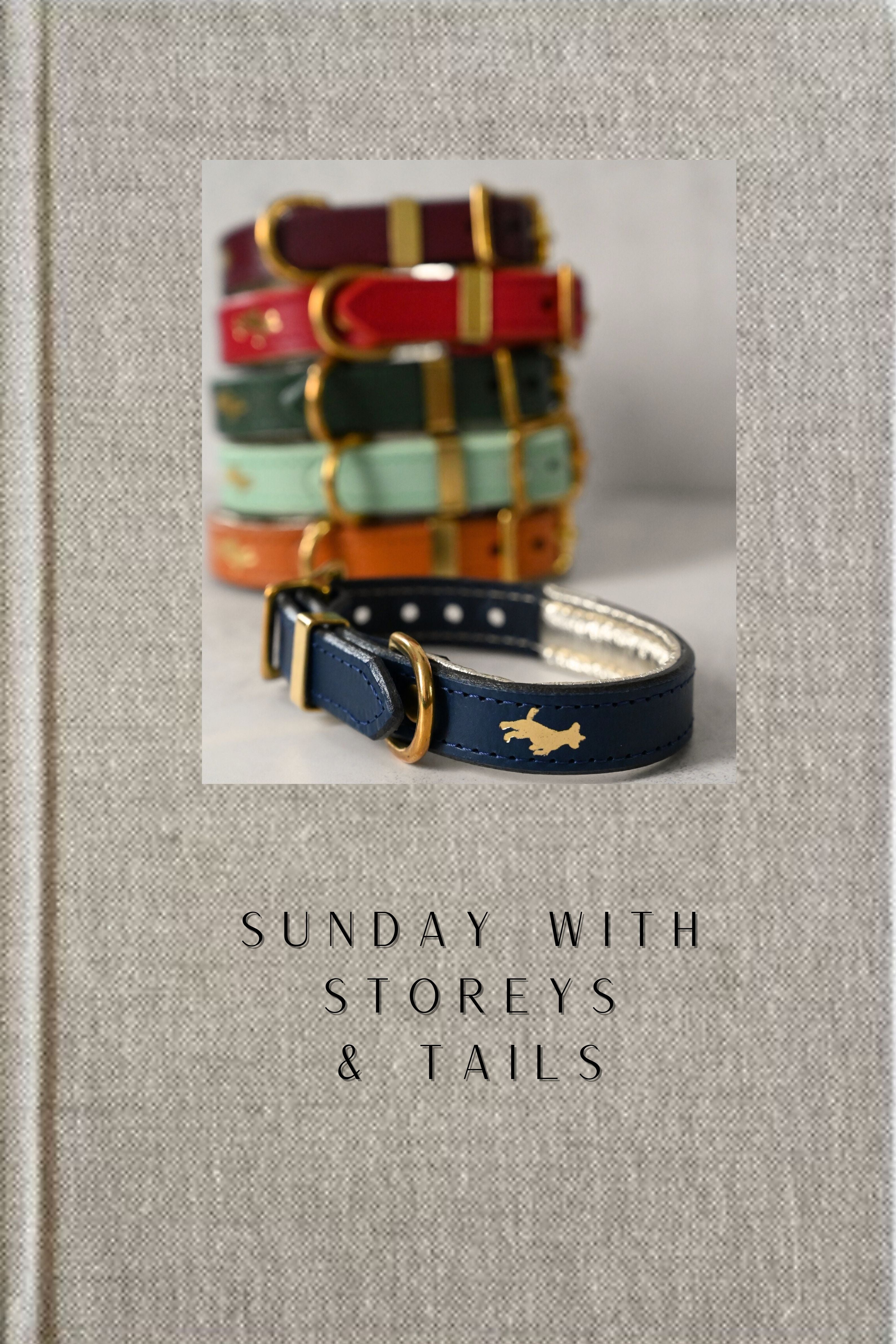 Luxury Pet Accessories