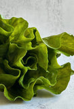 Faux Lettuce