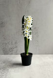 Faux Hyacinth Plant