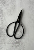 Medium Iron Scissors