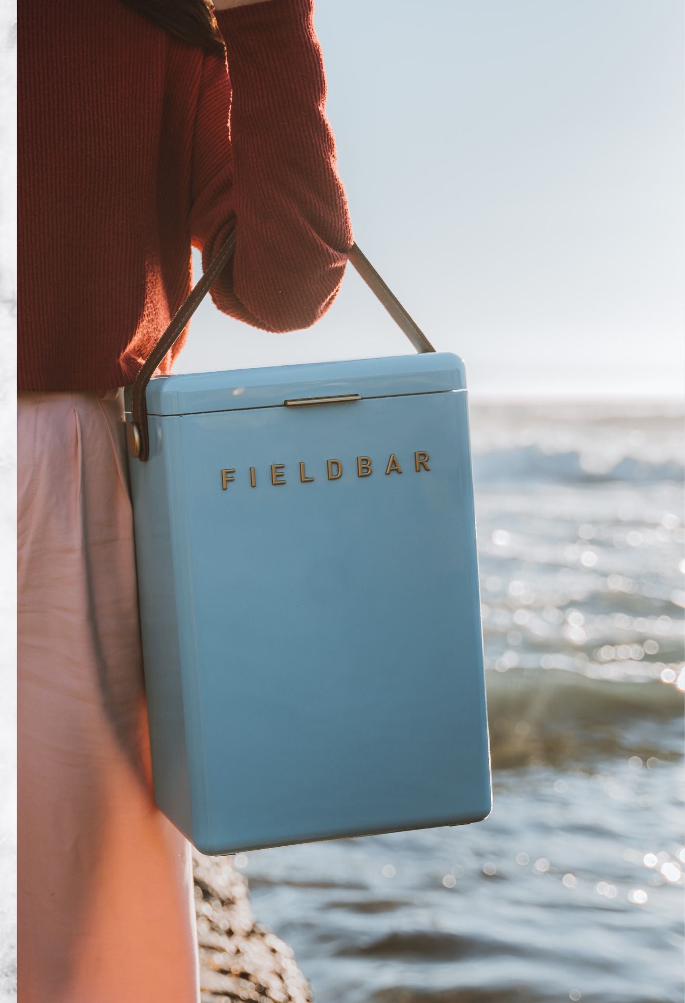 Blue Fieldbar Cooler
