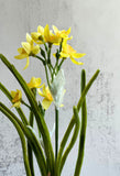 Faux Daffodil Plant