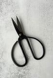 Medium Iron Scissors