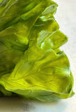 Faux Lettuce