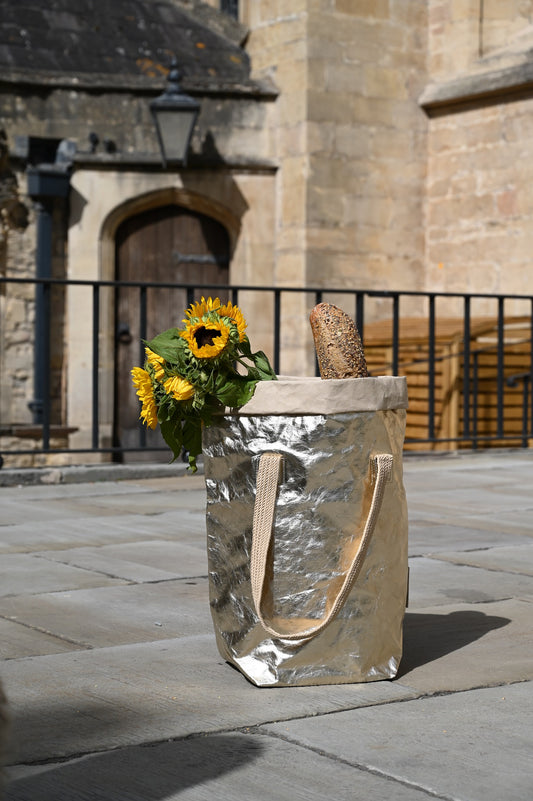 Silver Bag