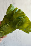 Faux Lettuce