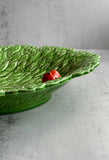 Lettuce Leaf and Tomato Dish