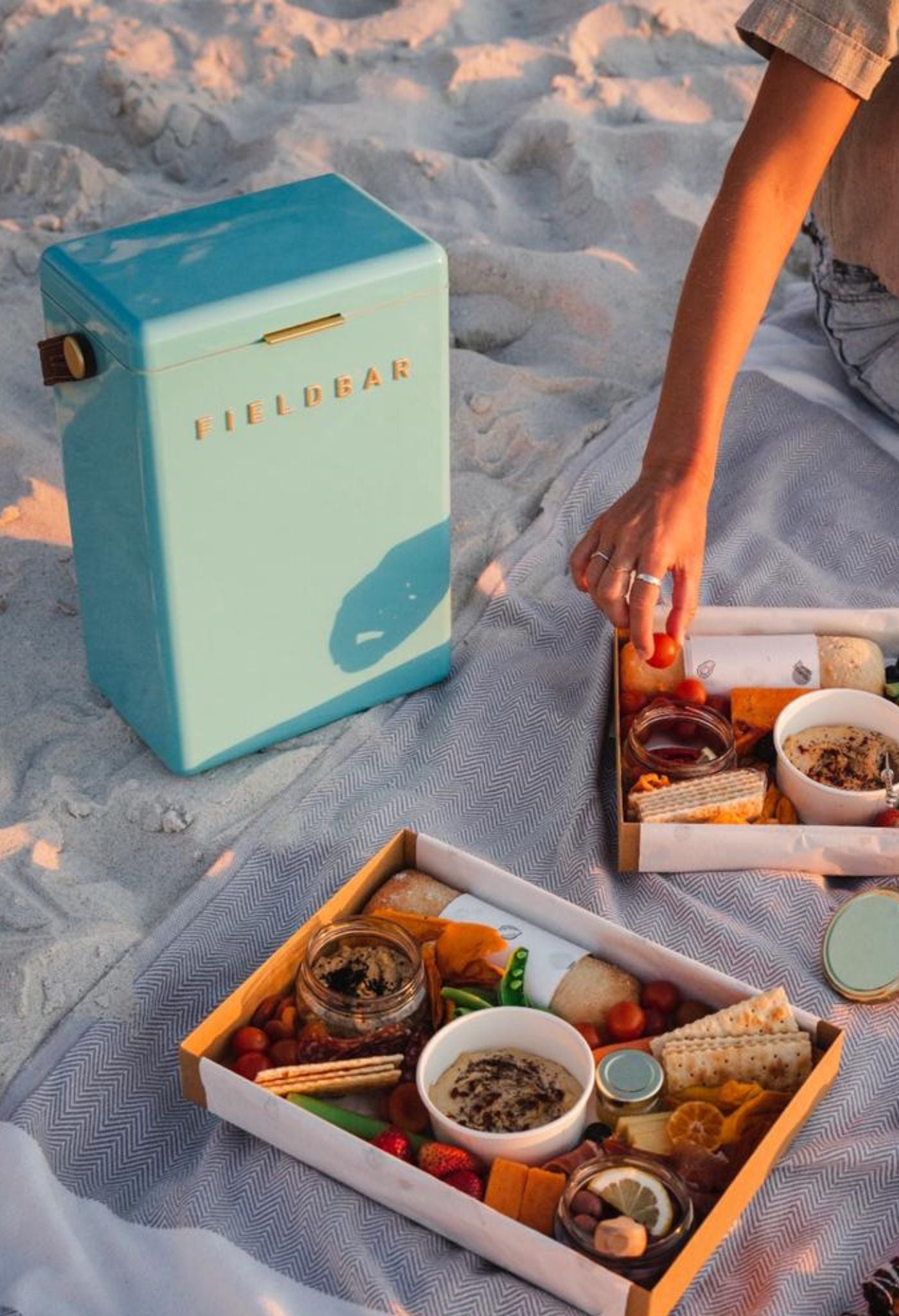 Blue Fieldbar Cooler
