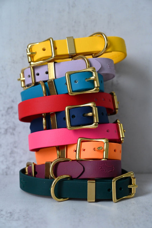 All Weather Coloured Pet Collars by Storeys and Tails