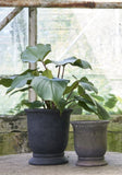 Berta Black Plant Pots