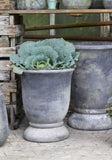 Berta Black Plant Pots