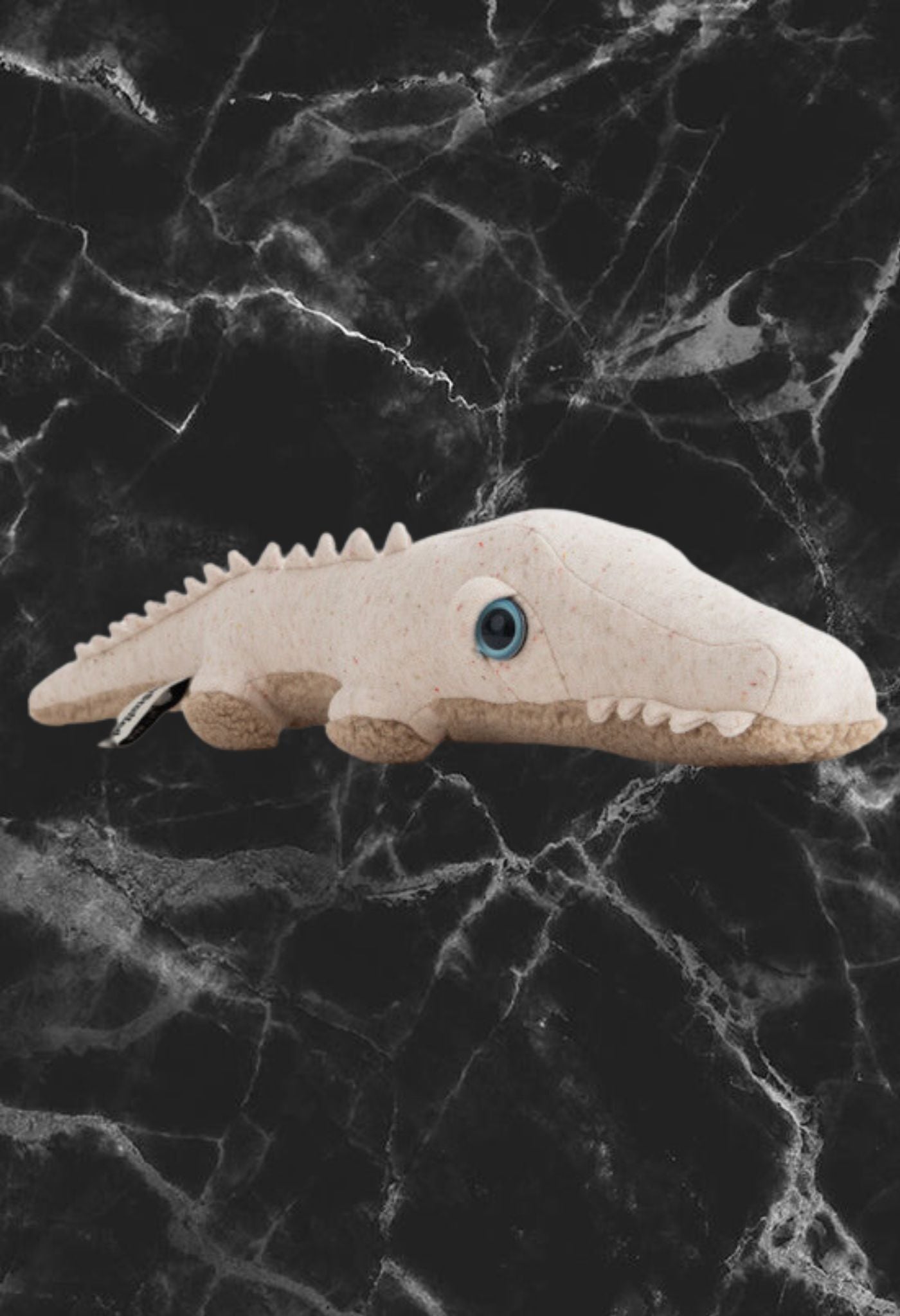 Mini crocodile albinos 