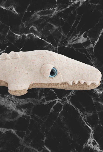 Mini crocodile albinos 