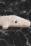 Mini-Albino-Krokodil 