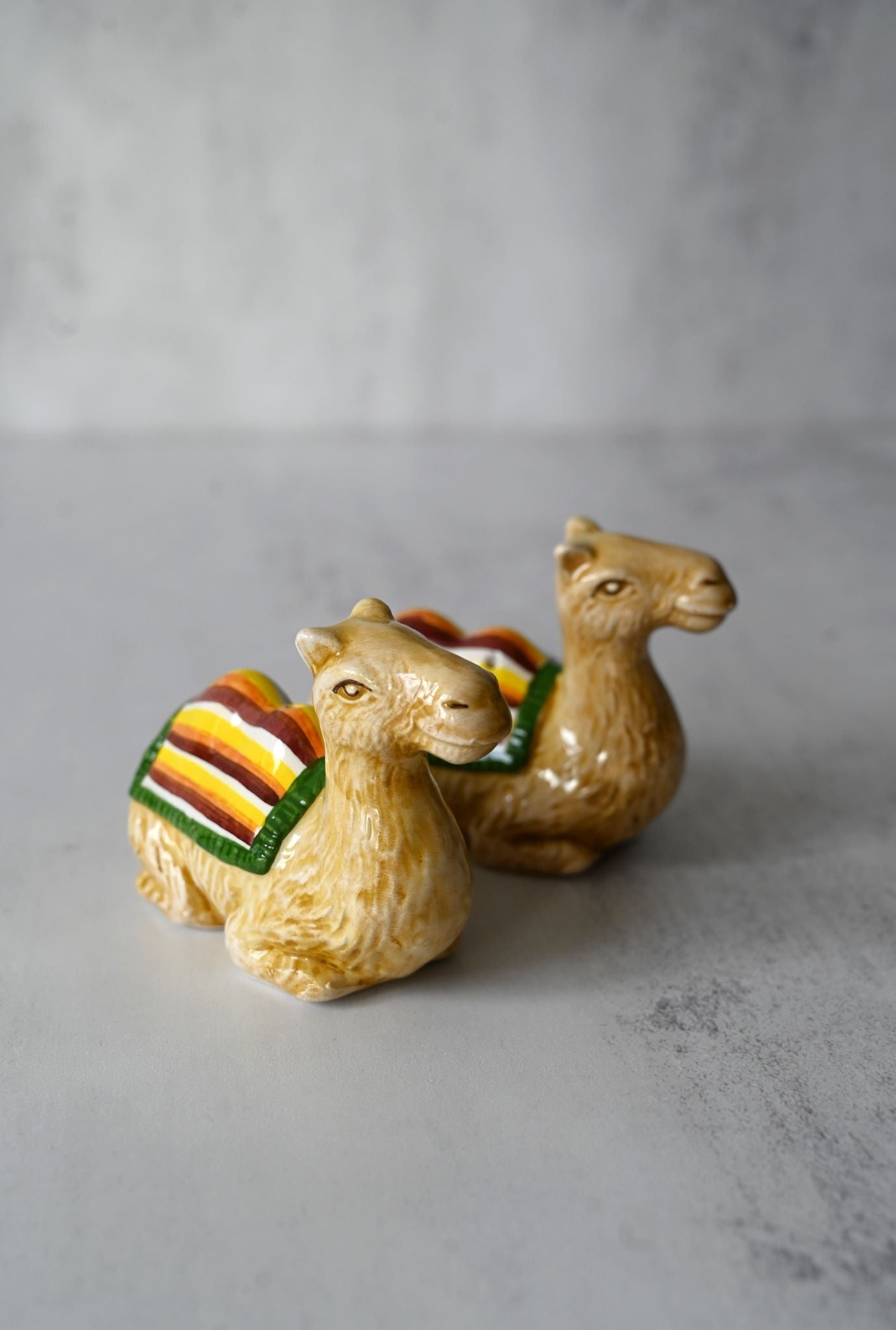 Hand-painted Camel Salt and Pepper Sets
