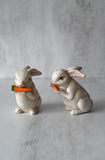 White Rabbits Salt and Pepper Shaker Set