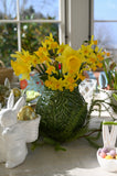 Vase en feuilles de chou vert