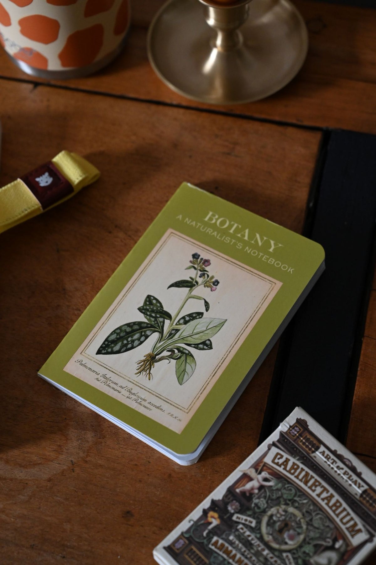 Botany Design Note Book Botany Olive Green Pocket Notebook | Naturalist Journal – Always Sunday ...