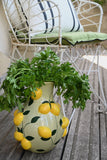 Ceramic Lemon Dolomite Vase