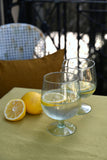 Clear Recycled Glass Gin Glass