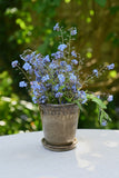 Glazed Brown Lacetrim Glazed Planter