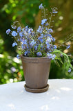Matte Brown Scallop Trim Glazed Plant Pot and Tray