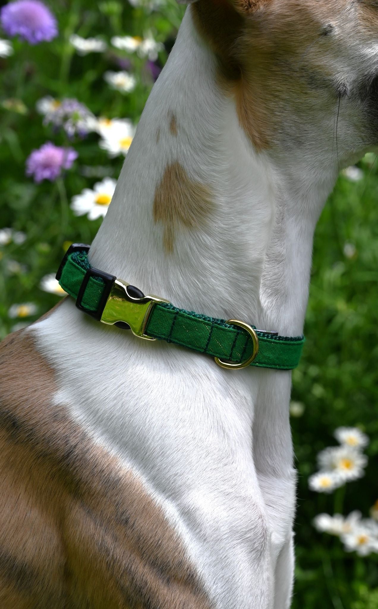 Small Ivy Green Tinsel Cotton Dog Collar
