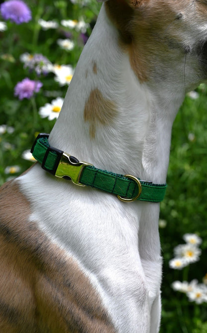 Small Ivy Green Tinsel Cotton Dog Collar