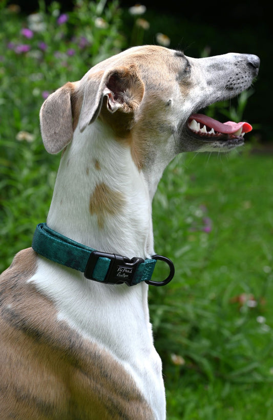 Medium Green Space Dye Handmade Webbing Collar