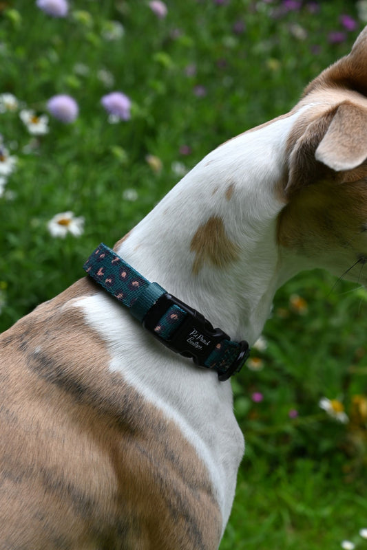 Medium Green Leopard Handmade Webbing Collar