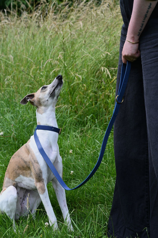 Dusky Blue Leather Dog Lead by Lish