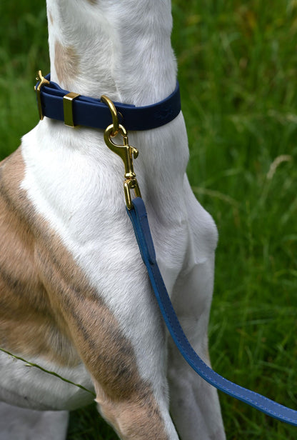 All Weather Coloured Pet Collars by Storeys and Tails