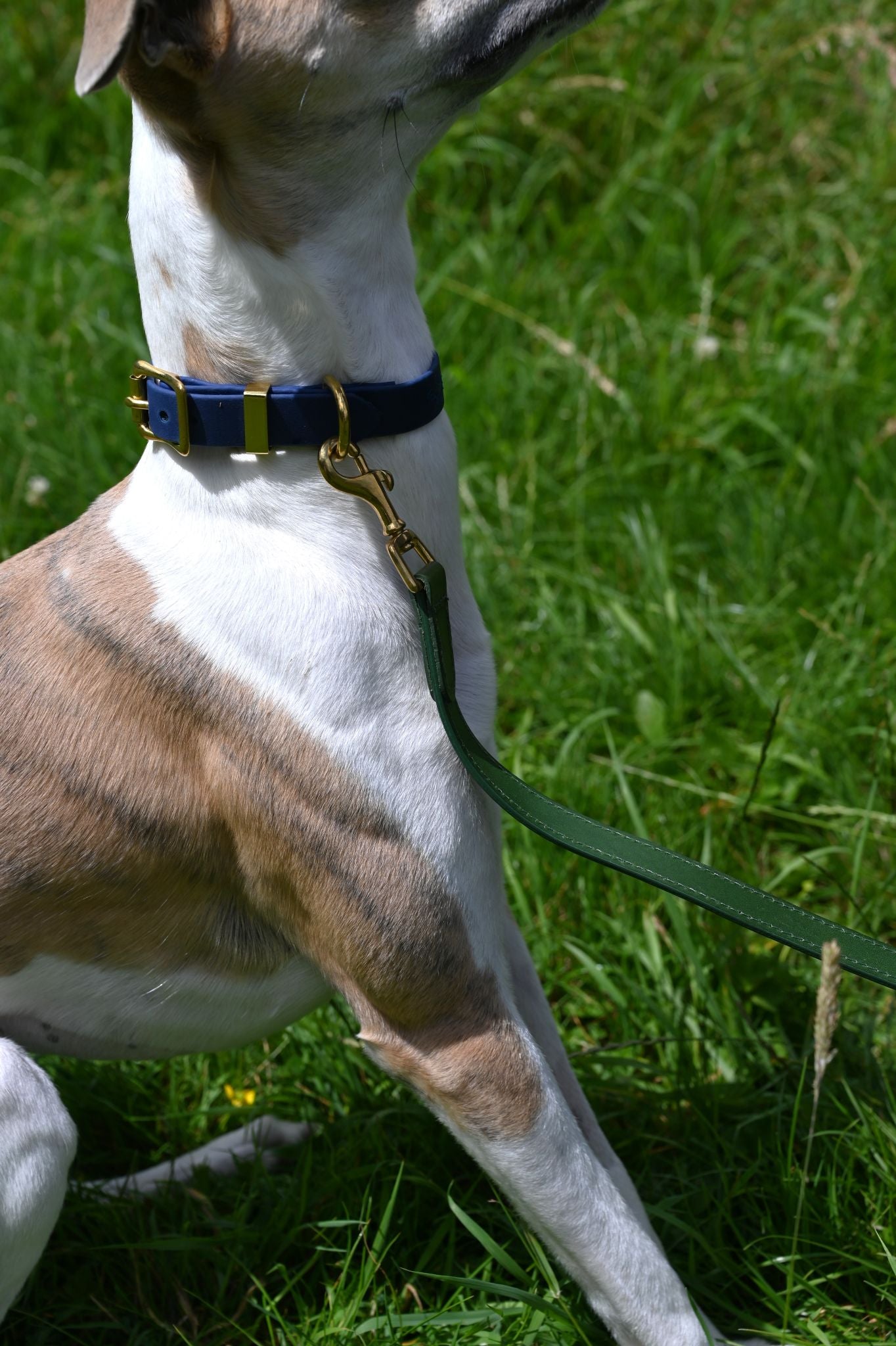 Forest Green Leather Dog Lead by Lish