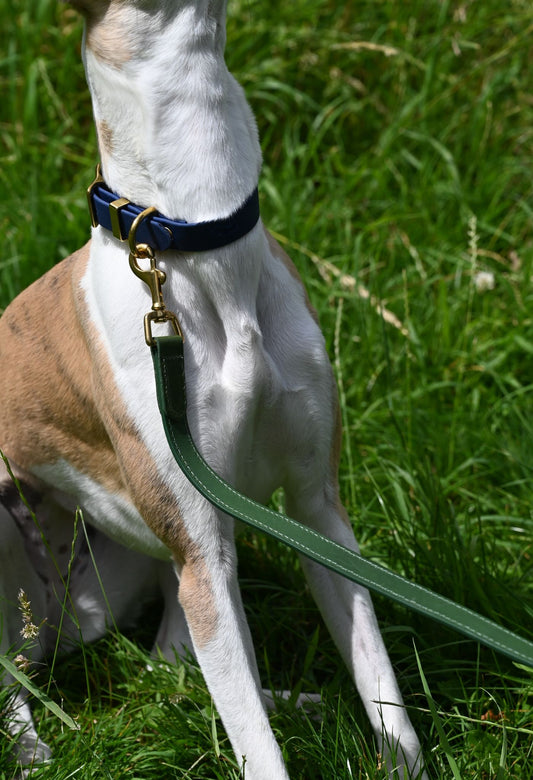 Forest Green Leather Dog Lead by Lish