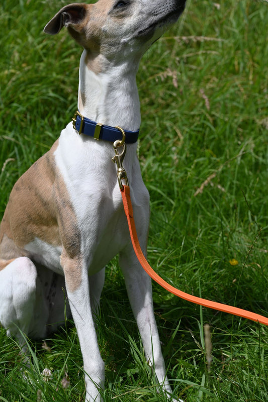 Traffic Cone Orange Lish Leather Dog Lead