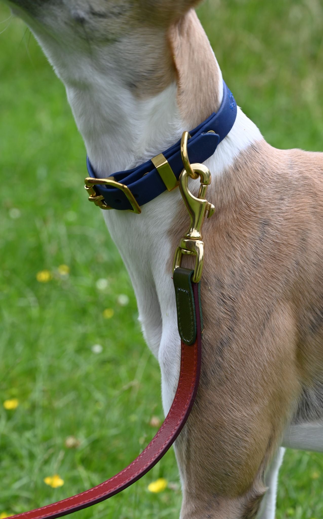 Tricolour Red Lish Leather Dog Lead