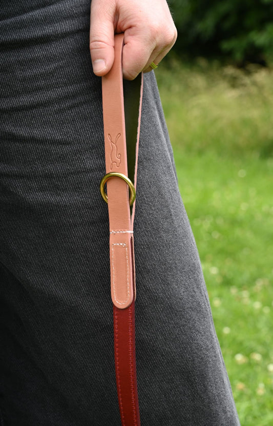 Tricolour Red Lish Leather Dog Lead