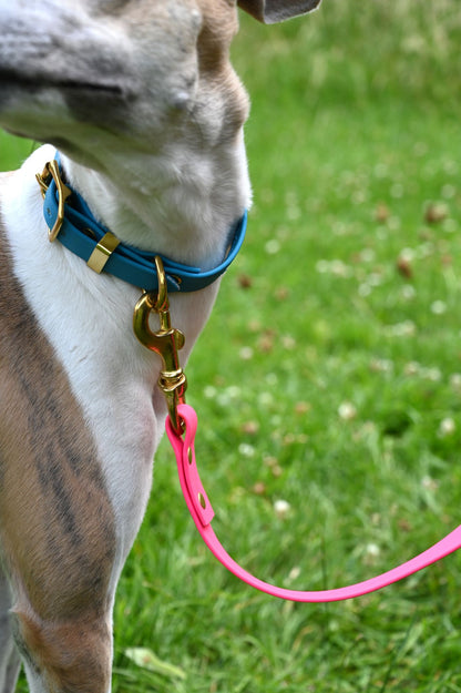 All Weather Coloured Pet Collars by Storeys and Tails