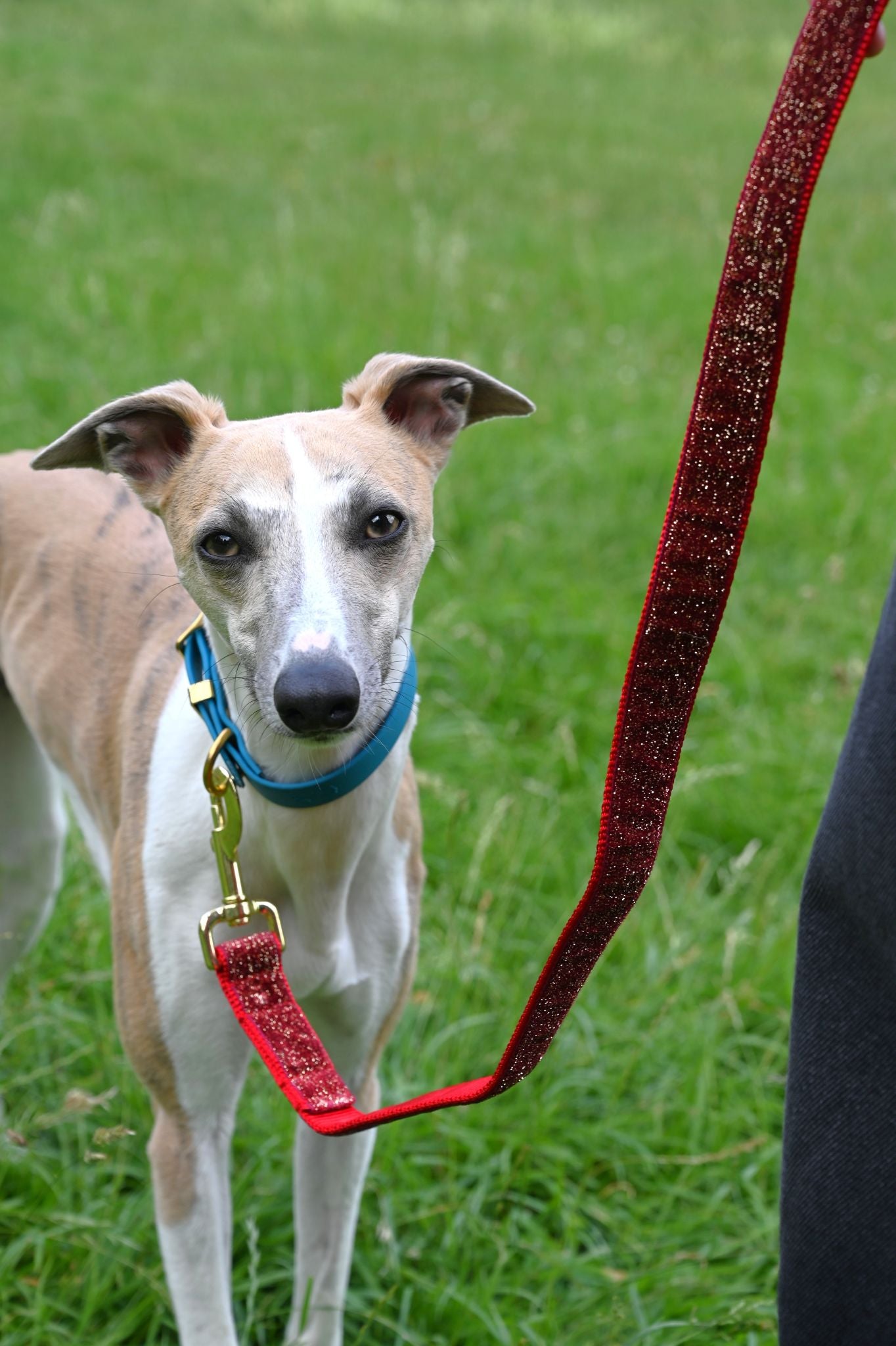 Christmas Red Glitter Velvet Dog Lead