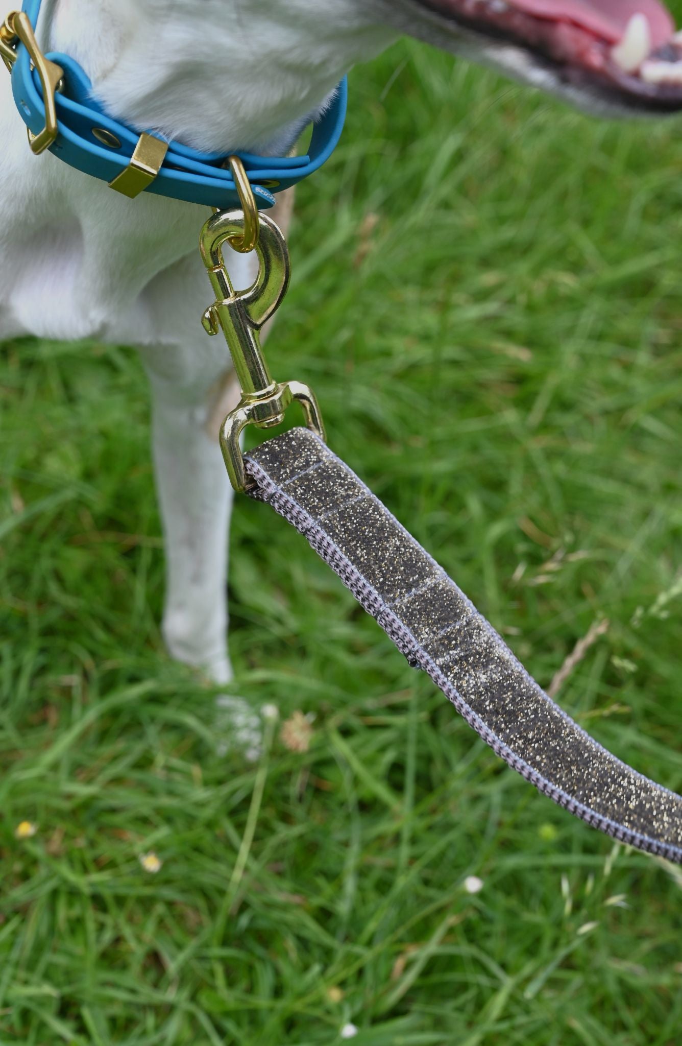 Grey Glitter Velvet Dog Lead