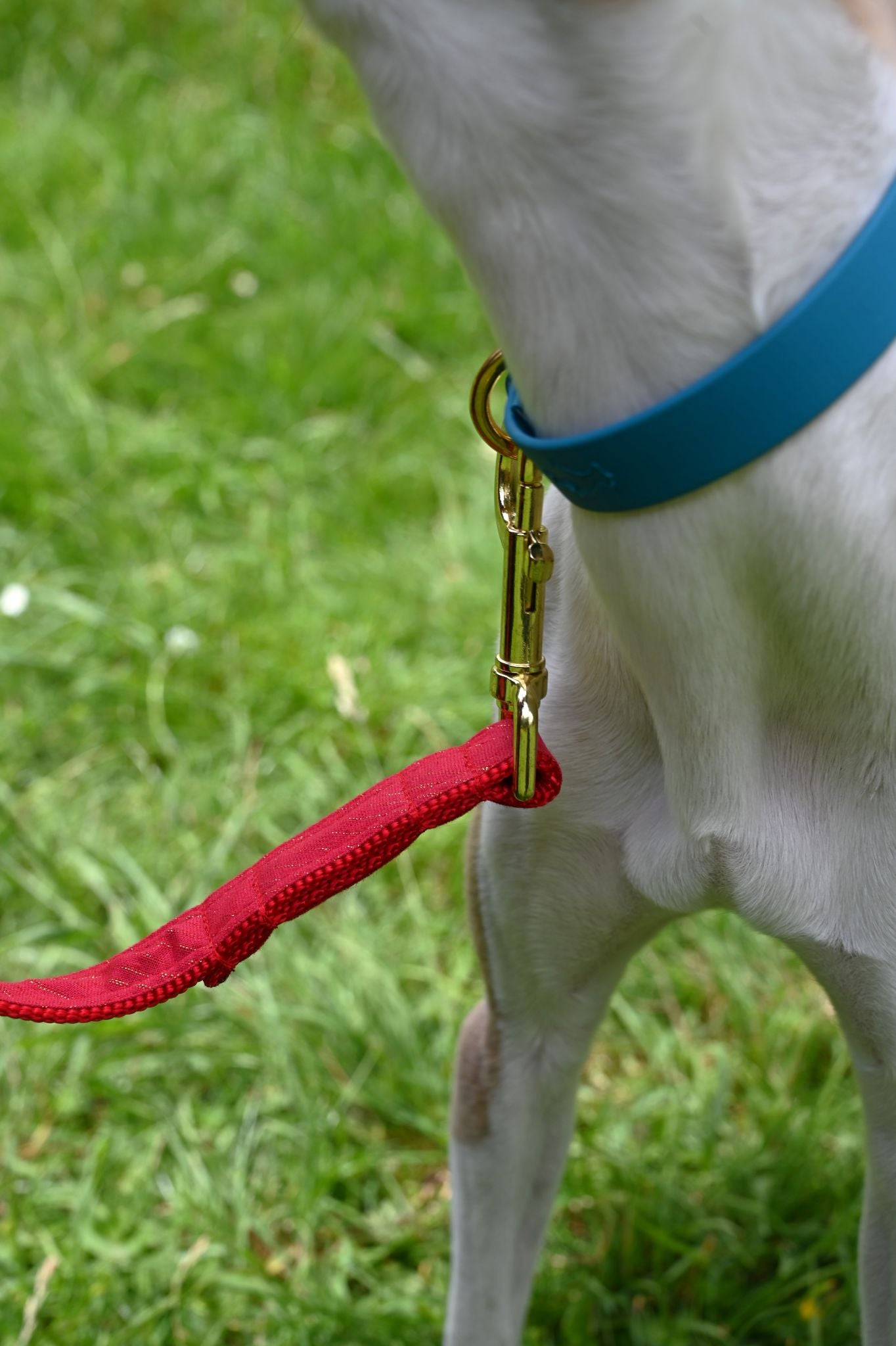 Christmas Red Tinsel Cotton Dog Lead