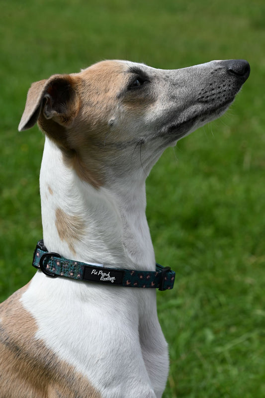 Small Green Leopard Handmade Webbing Collar